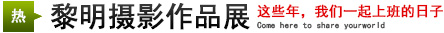 攝影展：這些年，我們一起上班的日子